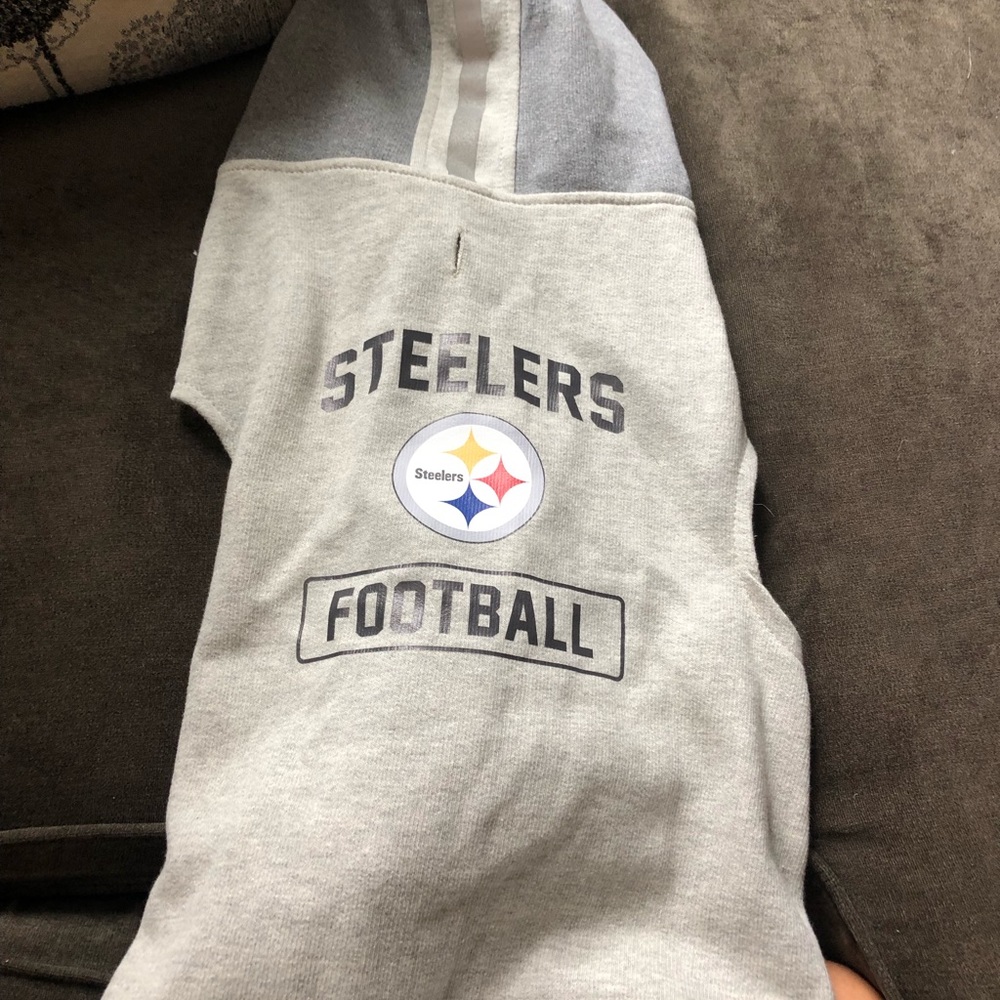 Pittsburgh Steeler dog hoodie